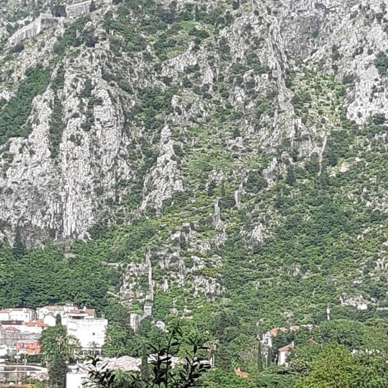 apartment grandis - Apartman sa 1 Spavaćom Sobom - 18