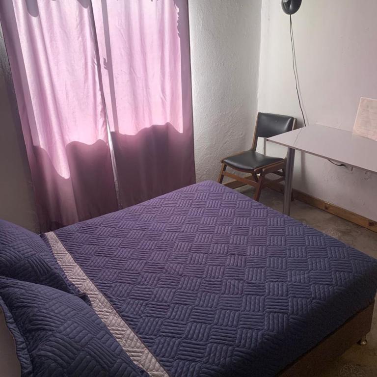 Hotel Casa Lucca - Double Room with Garden View - 2