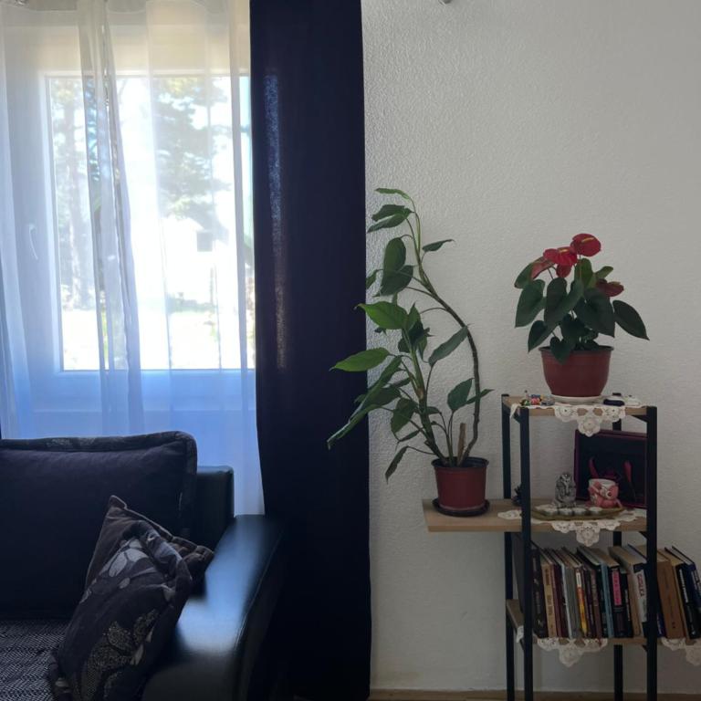 Everpine house - Kuća sa 3 Spavaće Sobe - 4