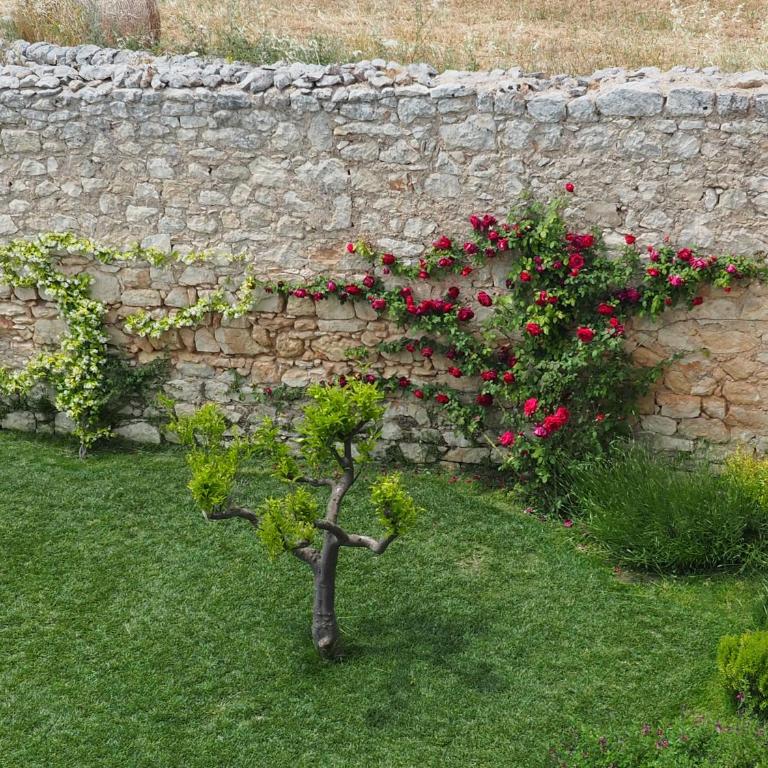 La Magione - Villa - 37