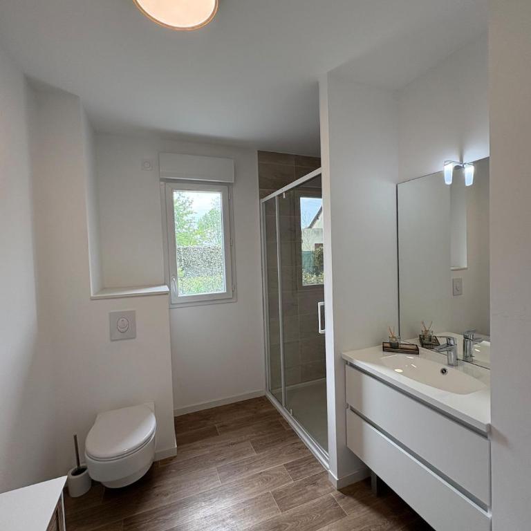 Studio with garden - Appartement 1 Chambre - 4