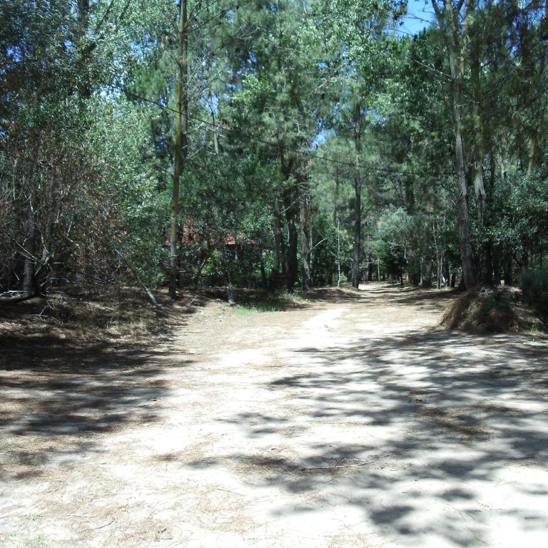 Patagonia Playa Bosque - Vacation Home - 8