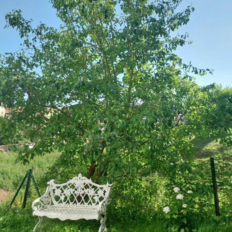 El jardín de Vetusta - Appartamento con 2 Camere da Letto - 2