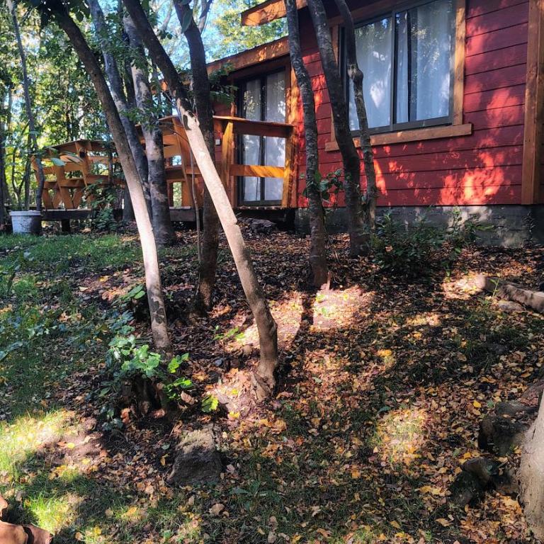 Cabañas Tía Marce, Los Lleuques - Apartamento de 2 dormitorios - 10