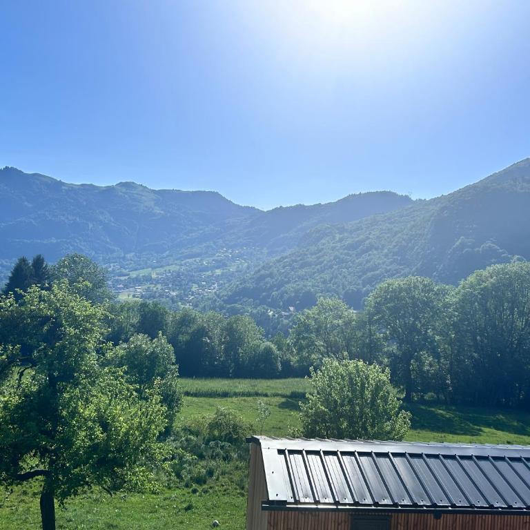 La Tiny de Queuvaz - Haute Savoie - Maison 1 Chambre - 2