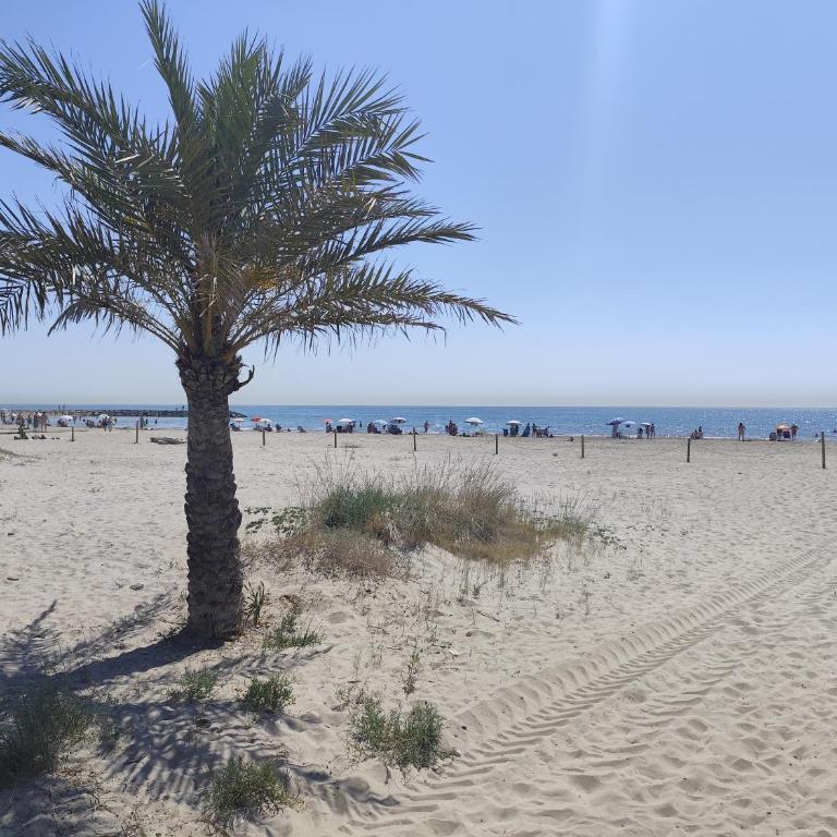 Sagunto Beach Loft 1B - Apartamento de 1 dormitorio - 17
