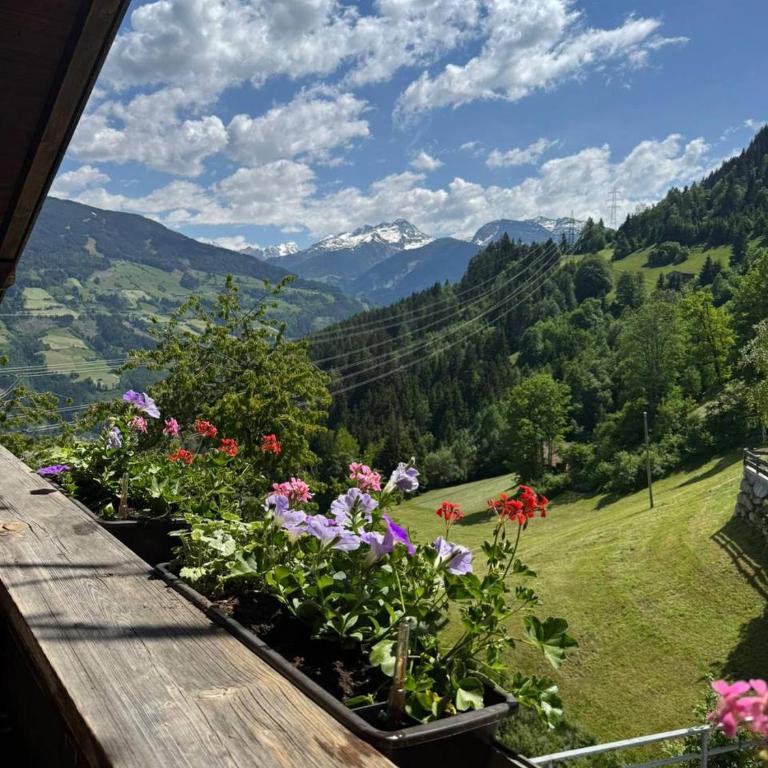 Das Försterhaus 41 - Ferienhaus mit 4 Zimmern - 11