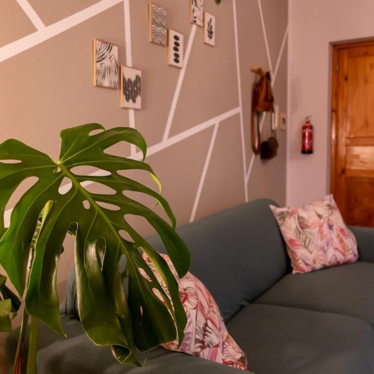 Casa Violante - One-Bedroom Apartment - 12