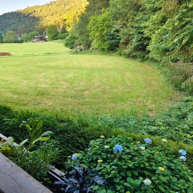 Blumenpension Strauss - Ferienwohnungen - Apartment mit 2 Schlafzimmern - 9