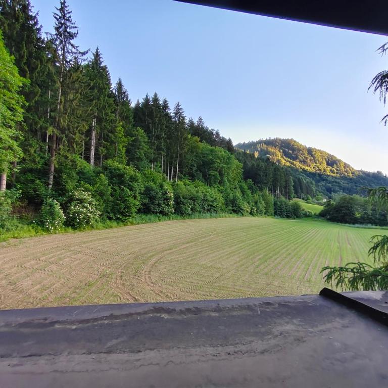 Blumenpension Strauss - Ferienwohnungen - Apartment mit 2 Schlafzimmern - 17