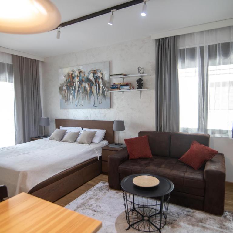 Harmony Studio Zlatibor - Studio sa Terasom - 3