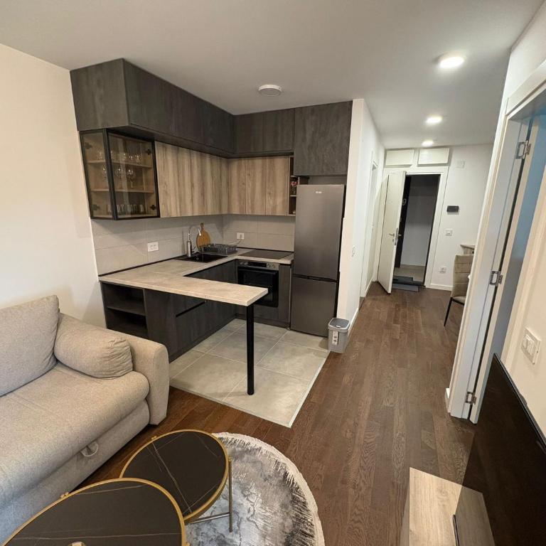 Tesla Palace III - Apartman sa 1 Spavaćom Sobom - 4