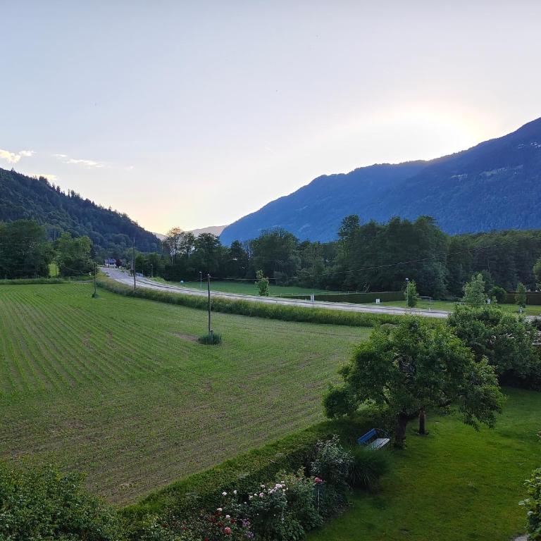 Blumenpension Strauss - Ferienwohnungen - Studio mit Balkon - 24