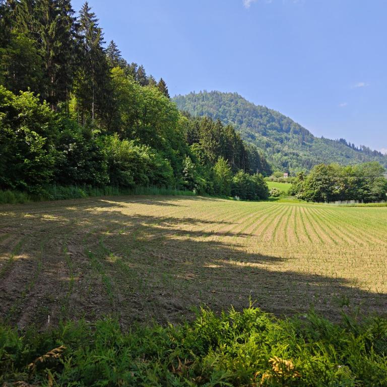 Blumenpension Strauss - Ferienwohnungen - Apartment mit 2 Schlafzimmern - 21
