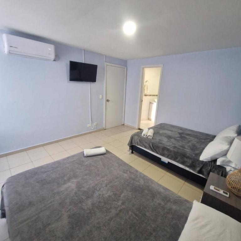Loft 312 Conquistador Building - One-Bedroom Apartment - 16