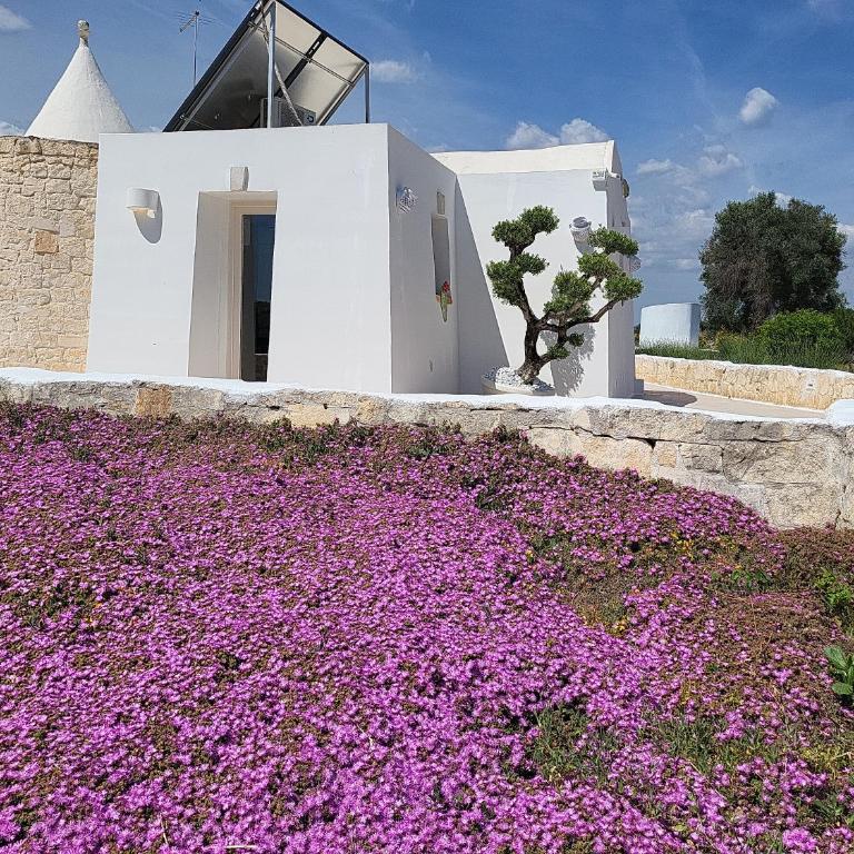 White Stones House - Villa - 3