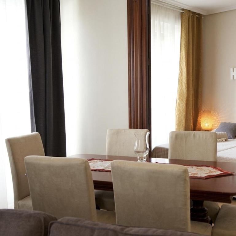 Apartamentos Plaza de Austria - Apartamento - 7