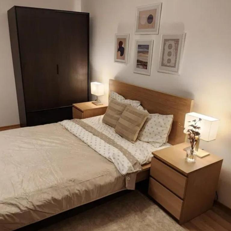 Stefanu GHE Septar ArDaBineeEE - Apartman sa 1 Spavaćom Sobom - 2