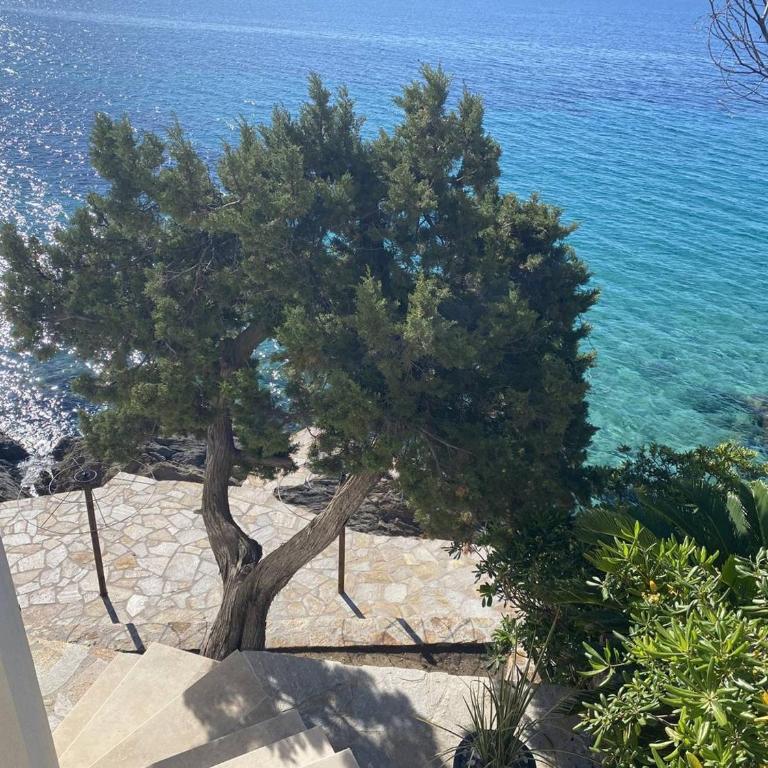 Appartement Climatisé avec Terrasse & Plage Privée - FR-1-816-5 - Appartamento - 20