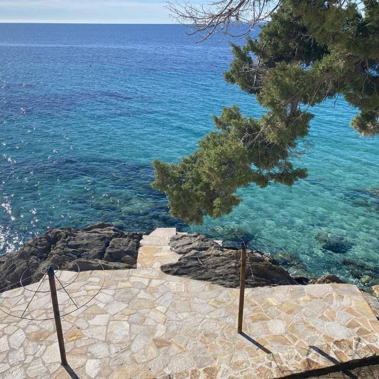 Appartement Climatisé avec Terrasse & Plage Privée - FR-1-816-5 - Appartamento - 21