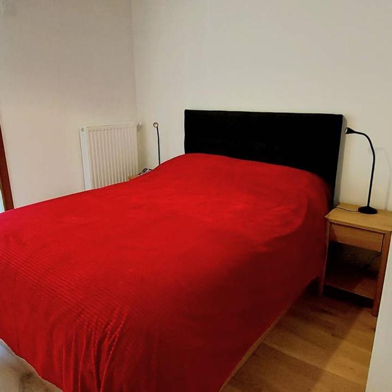Appartement spacieux au centre, près télécabine, terrasse - Appartement 1 Chambre - 23