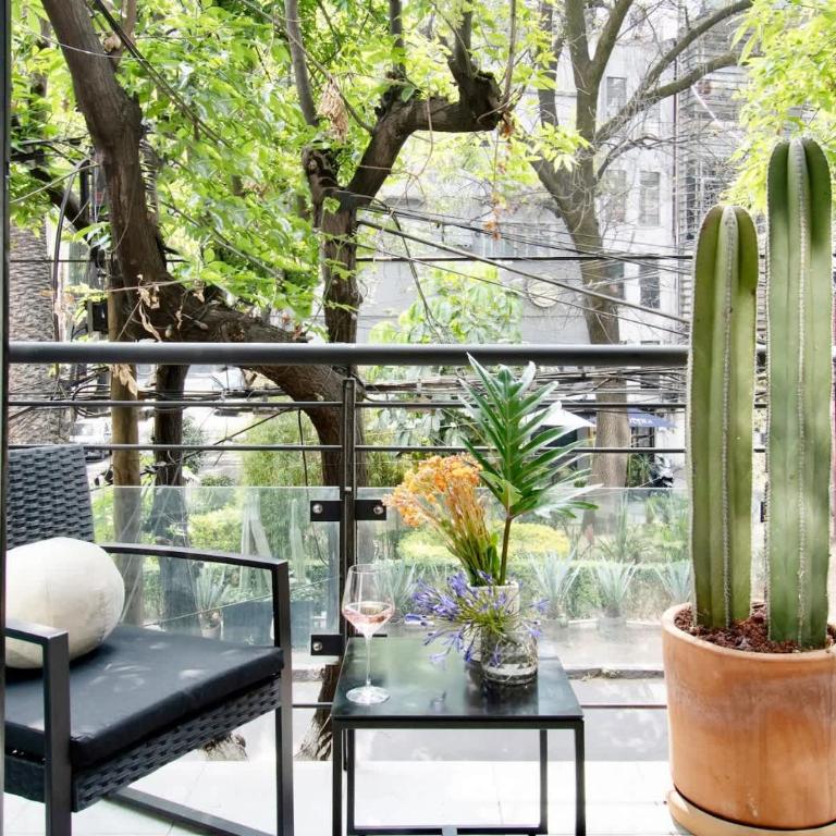 Prime Location Condesa Apt - Two-Bedroom Apartment - 3
