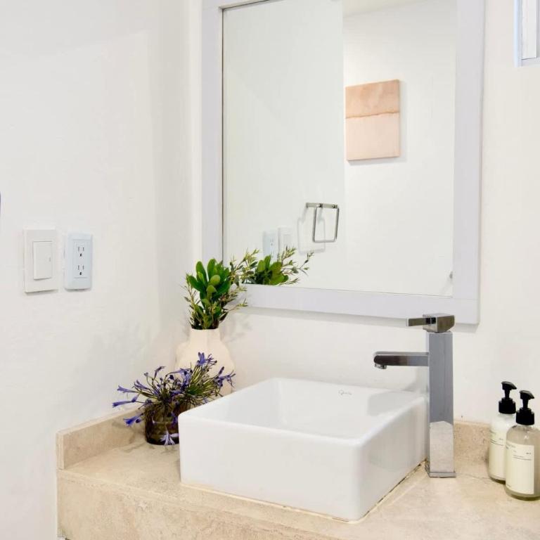 Prime Location Condesa Apt - Two-Bedroom Apartment - 12
