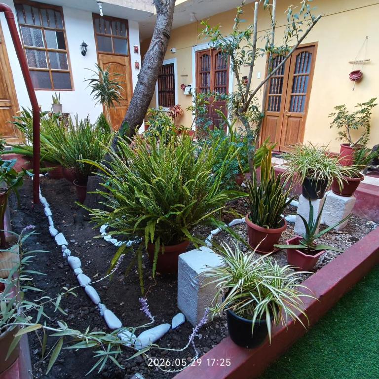 Casa El Capulí - Casa de 5 dormitorios - 11