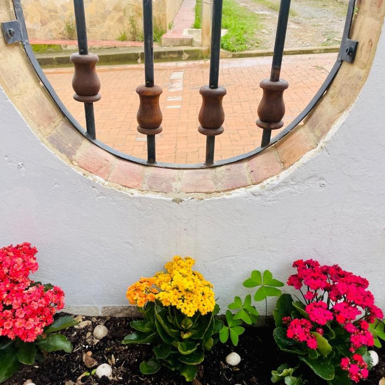 Apto 12 pax - Cerca a la Plaza - Parqueadero - Apartamento - 3
