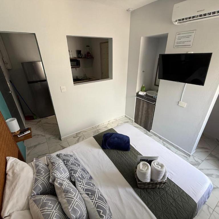 Green Lofts - Estudio Estándar - 5