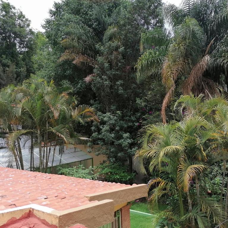 El Apapacho - Casa de 4 dormitorios - 3