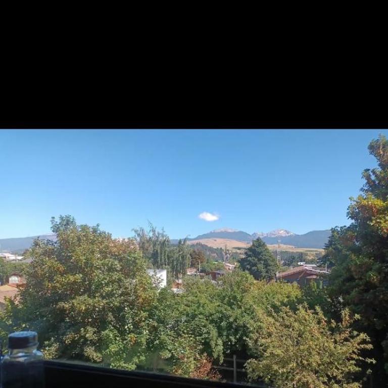 Departamento céntrico en Coyhaique - Apartamento de 1 dormitorio - 4