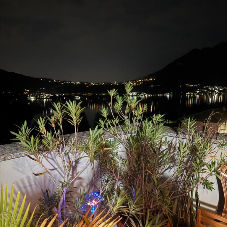 Felicita Cascata Terrace with Lake View - Appartamento con 1 Camera da Letto - 19