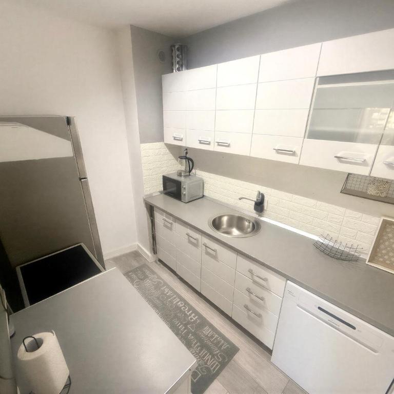 Apartment Rovčanin - Apartman sa 1 Spavaćom Sobom - 38