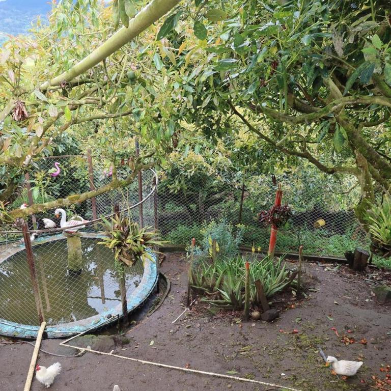 Finca eventos Dalubsu - Double Room - 5