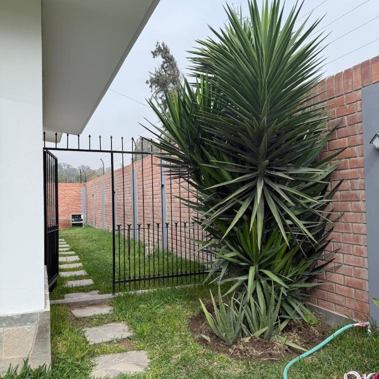 Casa los Cipreses del Sol - Vacation Home - 7