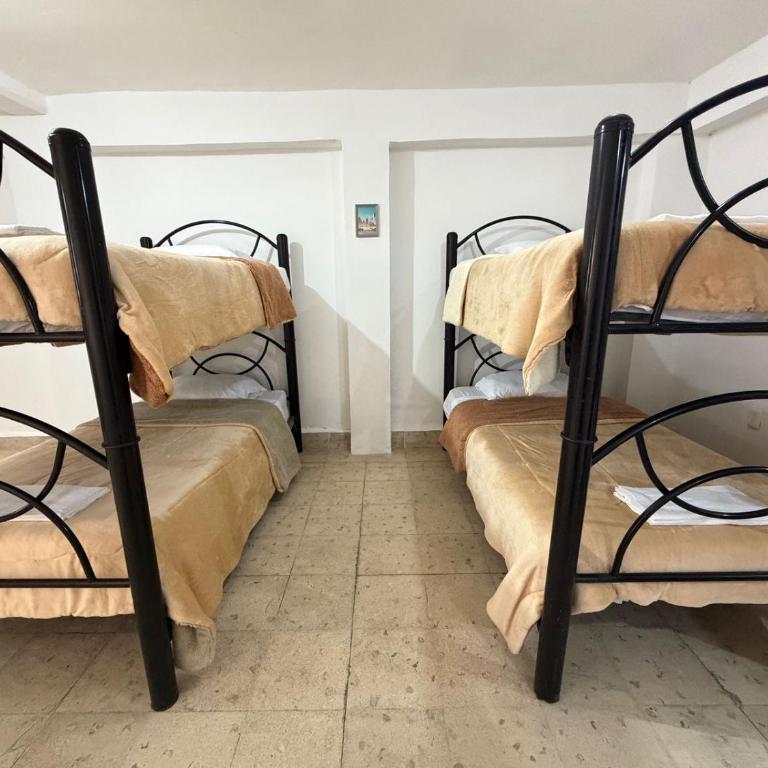 MonHer - Apartamento de 3 dormitorios - 2