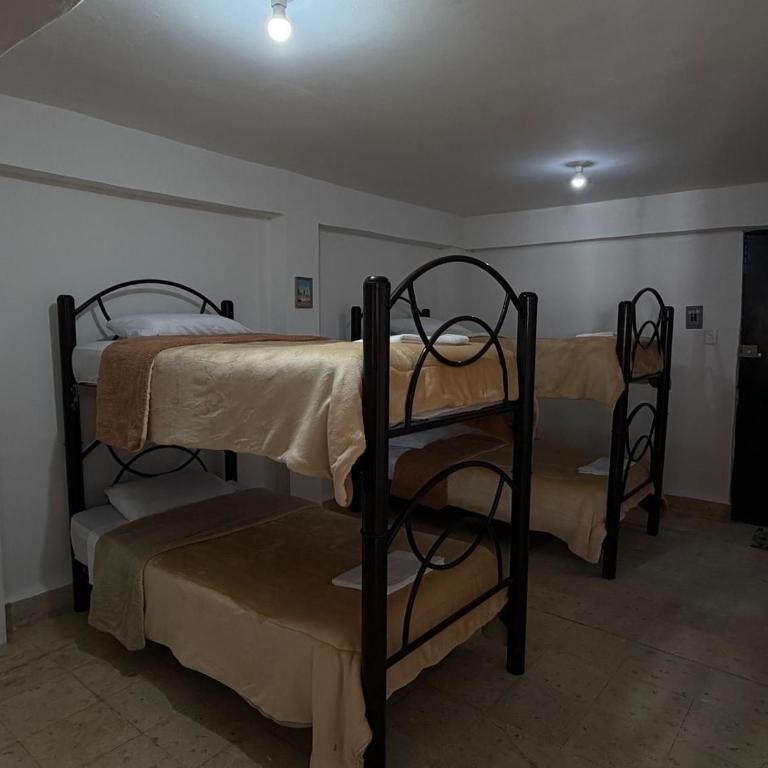 MonHer - Apartamento de 3 dormitorios - 3