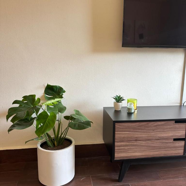 Apartment for 10 guests 20 minutes from the BBVA FIFA2026 Stadium - Apartamento de 3 dormitorios - 25