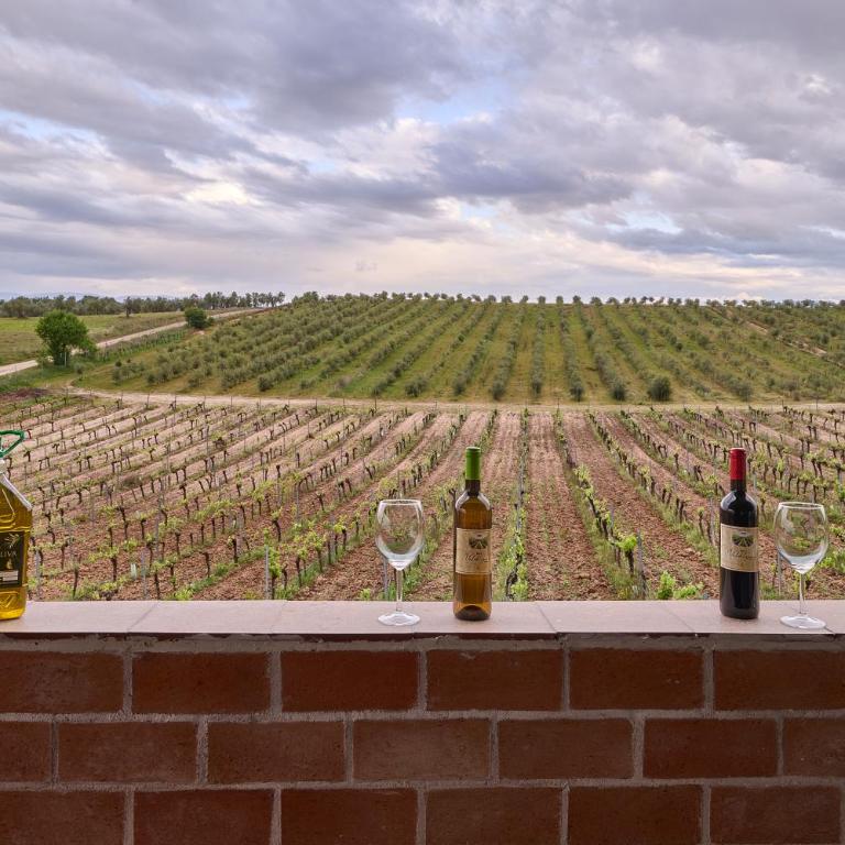 FINCA VALDELAJARA a 20 minutos de Puy du Fou - Casa de 4 dormitorios - 4