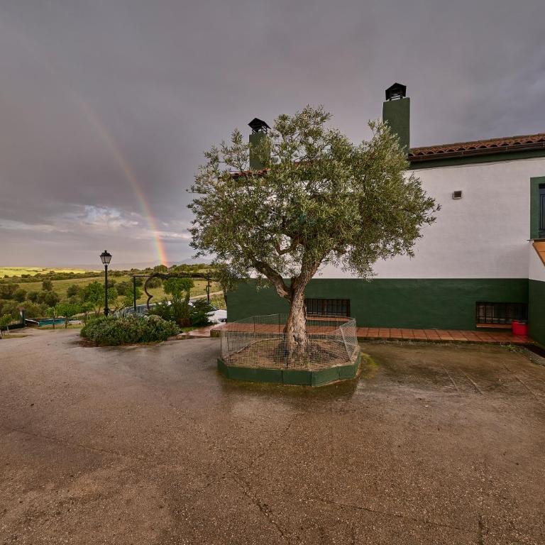 FINCA VALDELAJARA a 20 minutos de Puy du Fou - Casa de 4 dormitorios - 25