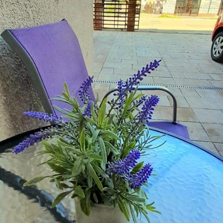 Apartman Layla - Two-Bedroom Apartment with Garden View - 6