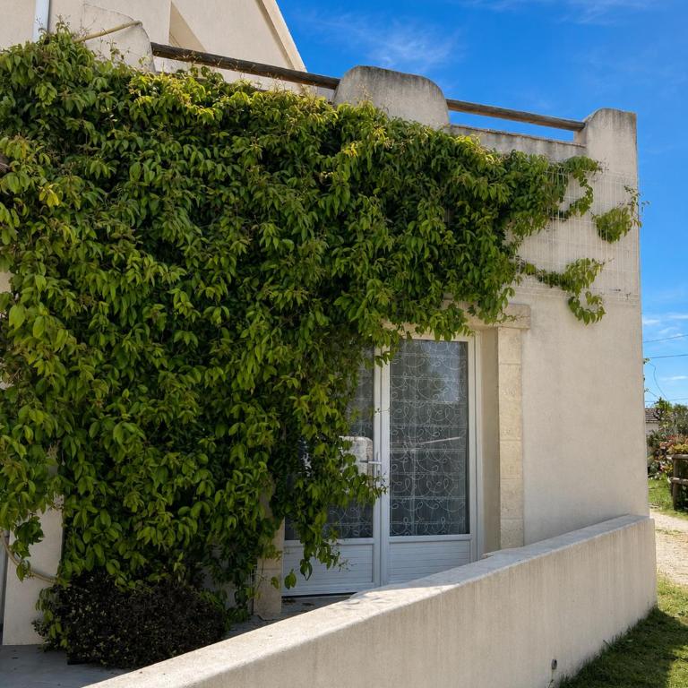 LES MAISONS DU PATY - Maison 4 Chambres - 13