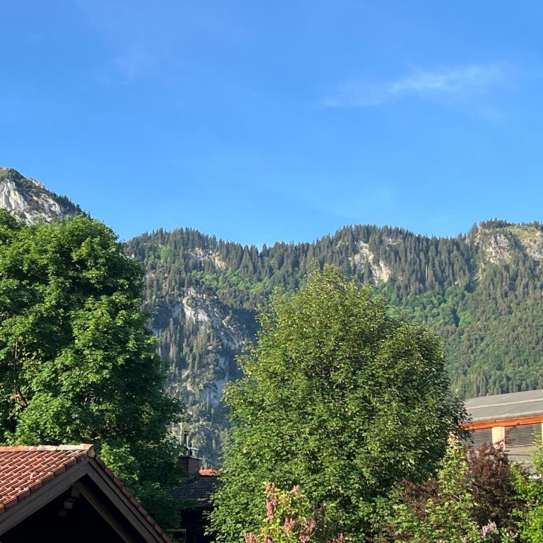 Alpen Apartment "Ruhe & Erholung" - Apartment mit 1 Schlafzimmer - 16
