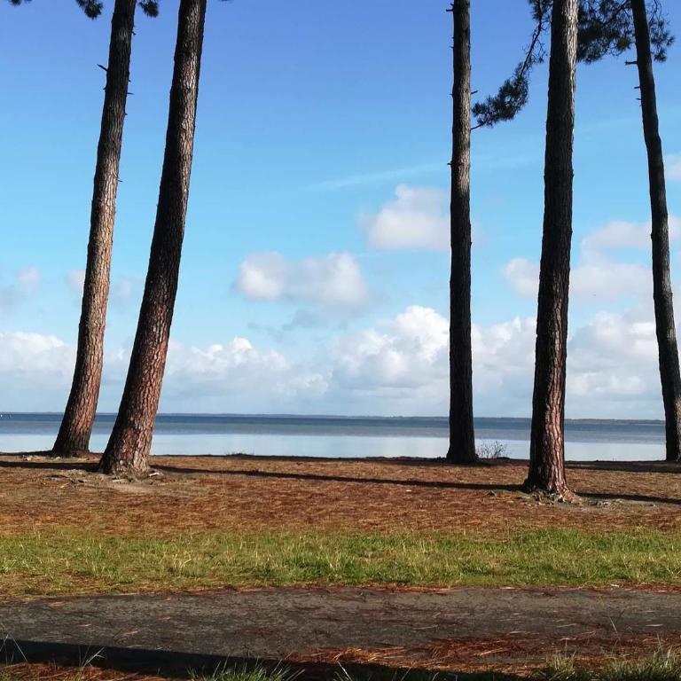 Villa vue lac avec piscine - 12 pers. - FR-1-877-58 - Villa - 8
