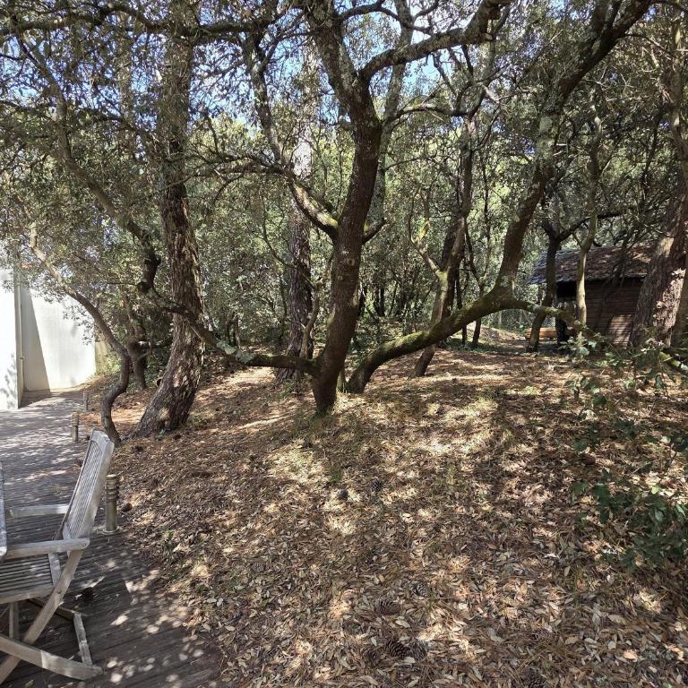 Maison spacieuse proche plage - 8 pers. - FR-1-194-470 - Casa - 34