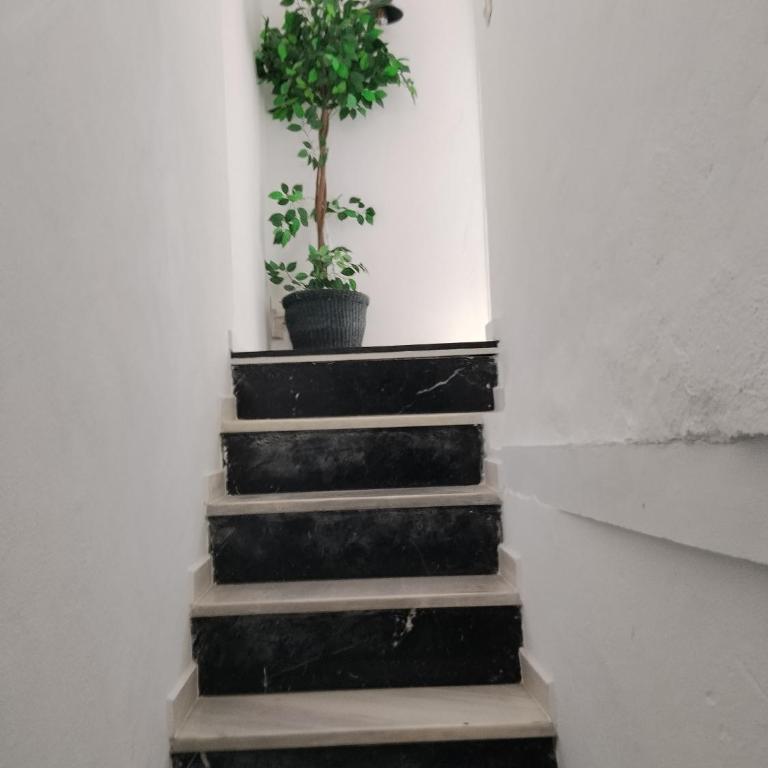 Casa Toñi - Apartamento de 1 dormitorio - 16