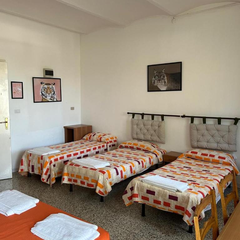 Camping Cisano - San Vito - Camera Quadrupla - 2