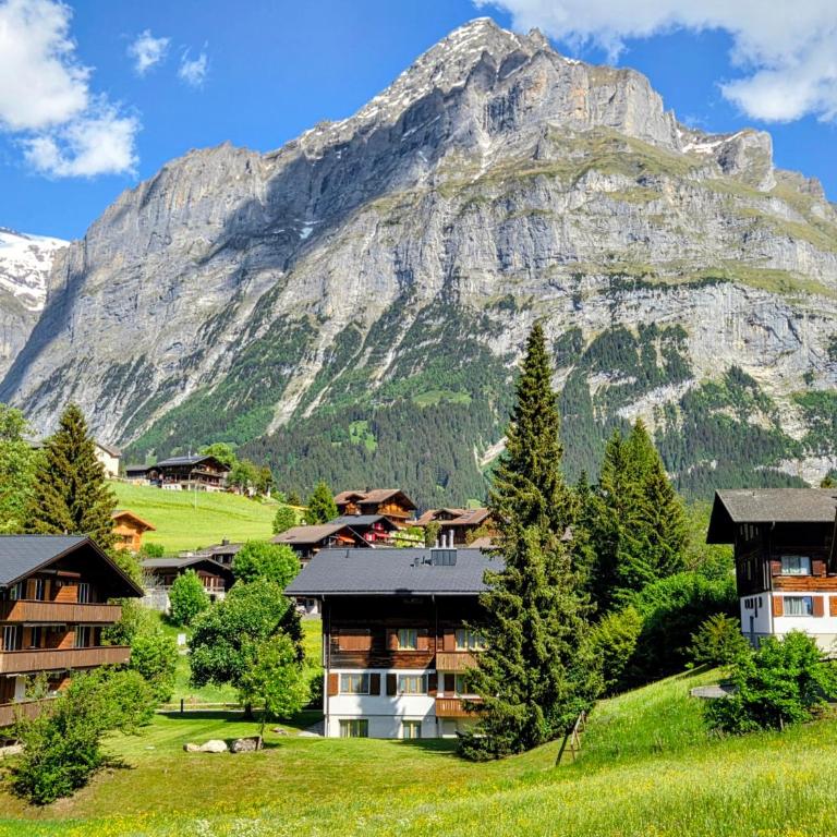 MOM - Alpine Boutique Apartments, Romantica, near Grindelwald Terminal - Apartment mit 1 Schlafzimmer - 19