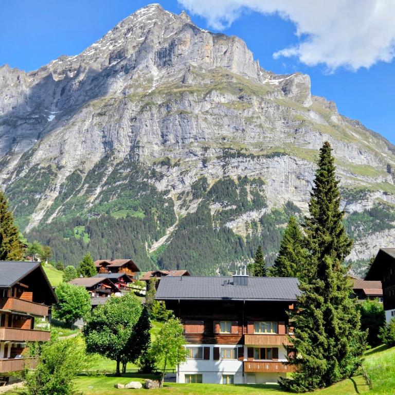 MOM - Alpine Boutique Apartments, Romantica, near Grindelwald Terminal - Apartment mit 1 Schlafzimmer - 10